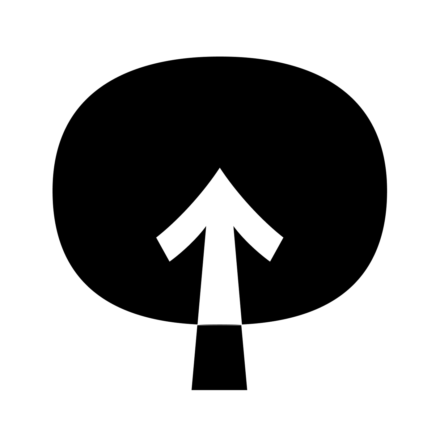 NewNet Shop